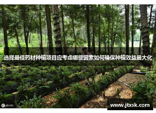选择最佳药材种植项目应考虑哪些因素如何确保种植效益最大化