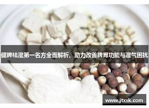 健脾祛湿第一名方全面解析，助力改善脾胃功能与湿气困扰