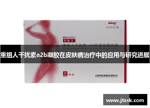 重组人干扰素a2b凝胶在皮肤病治疗中的应用与研究进展